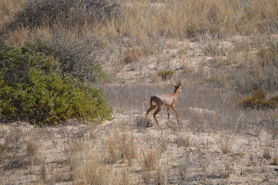 0 Bedroom Property for Sale in St Helena Views Western Cape